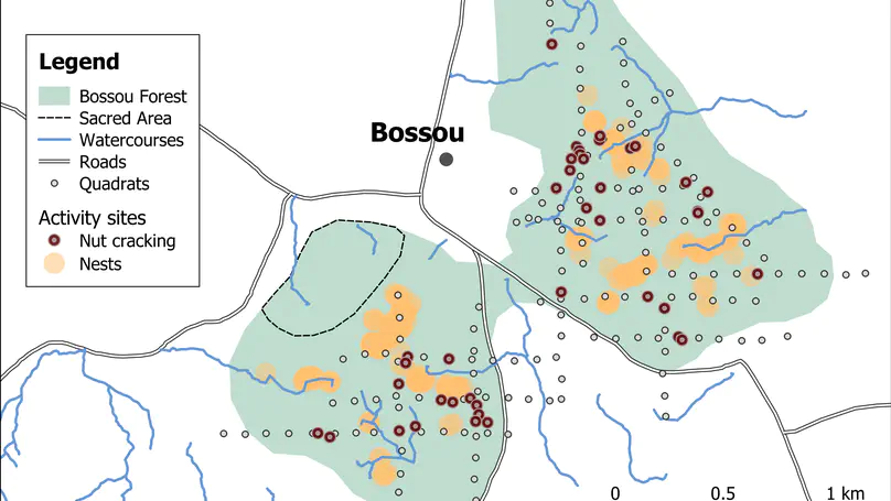 Landscaping the Behavioural Ecology of Primate Stone Tool Use