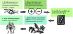 Using Nonhuman Culture in Conservation Requires Careful and Concerted Action