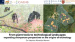 From plant tools to technological landscapes: Expanding chimpanzee perspectives on the origins of technology