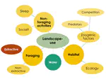 Primate technology in context: Examining the broader ecological and foraging landscapes